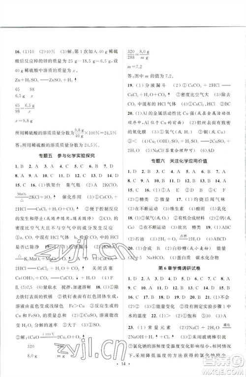 江苏人民出版社2023课时提优计划作业本九年级化学下册沪教版参考答案