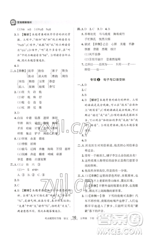 江西人民出版社2023王朝霞考点梳理时习卷五年级下册语文人教版答案
