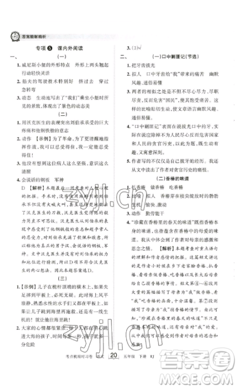 江西人民出版社2023王朝霞考点梳理时习卷五年级下册语文人教版答案