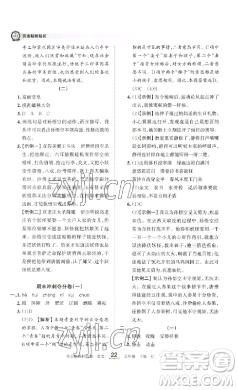 江西人民出版社2023王朝霞考点梳理时习卷五年级下册语文人教版答案
