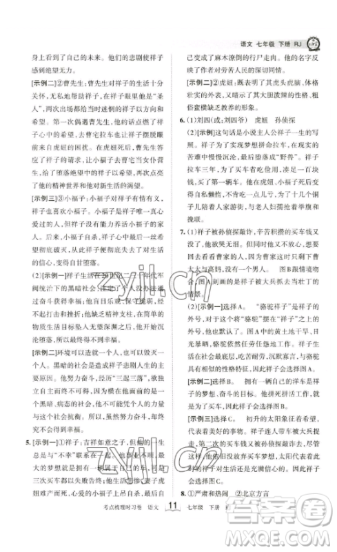 江西人民出版社2023王朝霞考点梳理时习卷七年级下册语文人教版答案