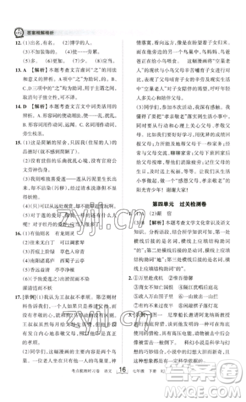 江西人民出版社2023王朝霞考点梳理时习卷七年级下册语文人教版答案