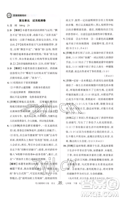 江西人民出版社2023王朝霞考点梳理时习卷七年级下册语文人教版答案