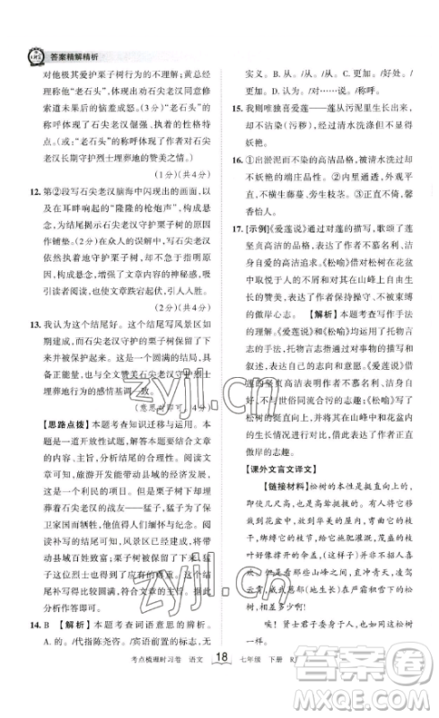 江西人民出版社2023王朝霞考点梳理时习卷七年级下册语文人教版答案
