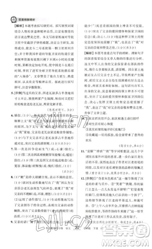 江西人民出版社2023王朝霞考点梳理时习卷七年级下册语文人教版答案