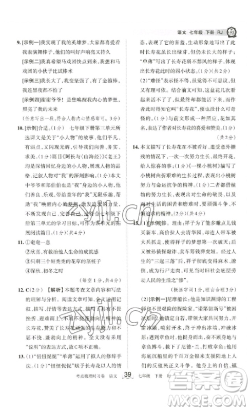江西人民出版社2023王朝霞考点梳理时习卷七年级下册语文人教版答案