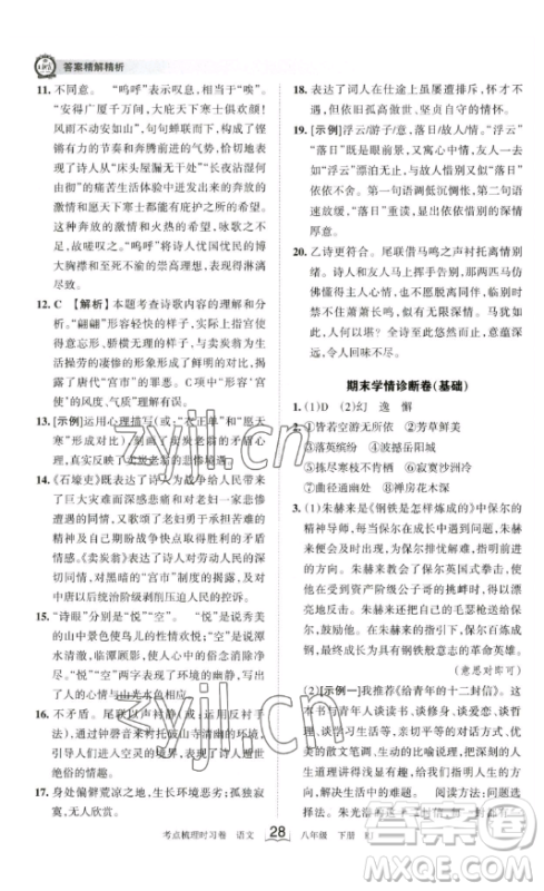 江西人民出版社2023王朝霞考点梳理时习卷八年级下册语文人教版答案