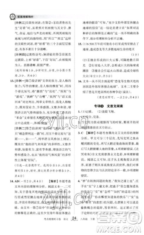 江西人民出版社2023王朝霞考点梳理时习卷八年级下册语文人教版答案