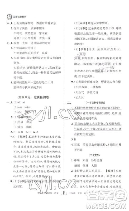 江西人民出版社2023王朝霞考点梳理时习卷三年级下册语文人教版答案 江西人民出版社2023王朝霞考点梳理时习卷三年级下册语文人教版答案