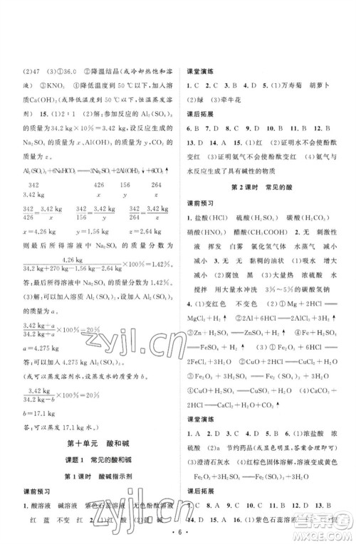 江苏人民出版社2023课时提优计划作业本九年级化学下册人教版参考答案