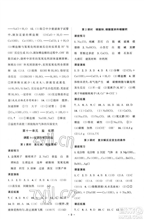 江苏人民出版社2023课时提优计划作业本九年级化学下册人教版参考答案