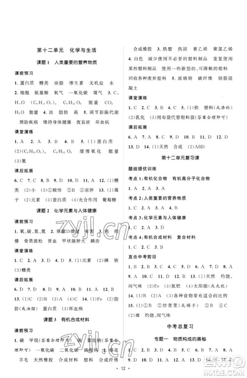 江苏人民出版社2023课时提优计划作业本九年级化学下册人教版参考答案