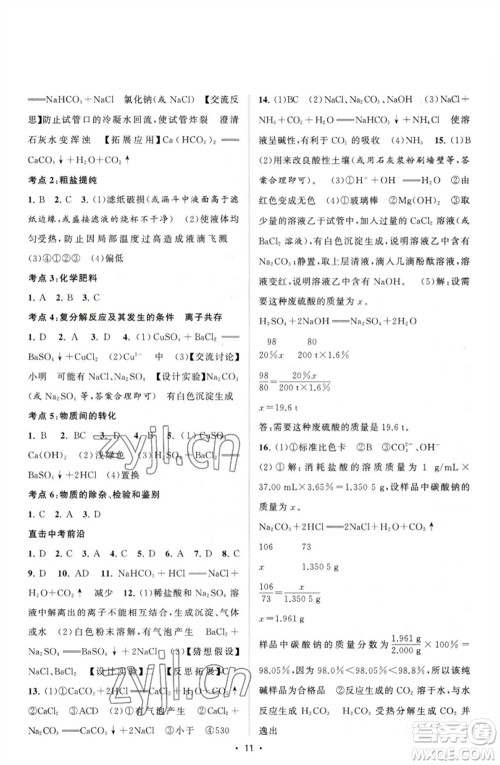 江苏人民出版社2023课时提优计划作业本九年级化学下册人教版参考答案