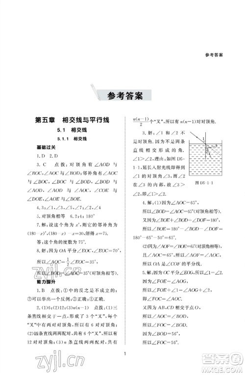 北京师范大学出版社2023数学配套综合练习七年级下册人教版参考答案