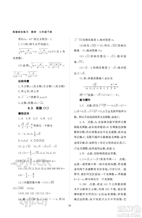 北京师范大学出版社2023数学配套综合练习七年级下册人教版参考答案