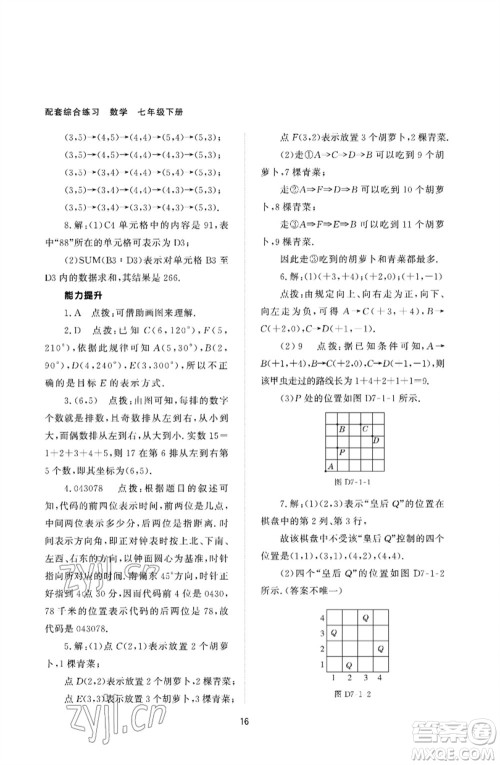 北京师范大学出版社2023数学配套综合练习七年级下册人教版参考答案