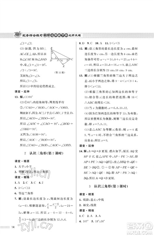 北京师范大学出版社2023数学配套综合练习七年级下册北师大版参考答案