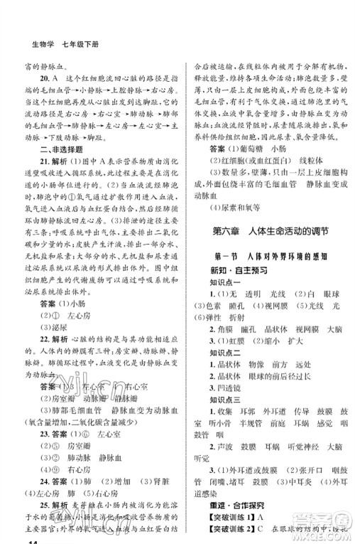 甘肃教育出版社2023生物学配套综合练习七年级下册人教版参考答案 甘肃教育出版社2023生物学配套综合练习七年级下册人教版参考答案