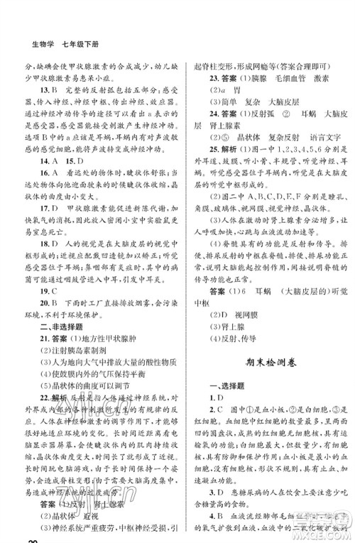 甘肃教育出版社2023生物学配套综合练习七年级下册人教版参考答案 甘肃教育出版社2023生物学配套综合练习七年级下册人教版参考答案