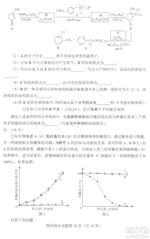 2023四省联考高三适应性能力测试卷理科综合试卷答案