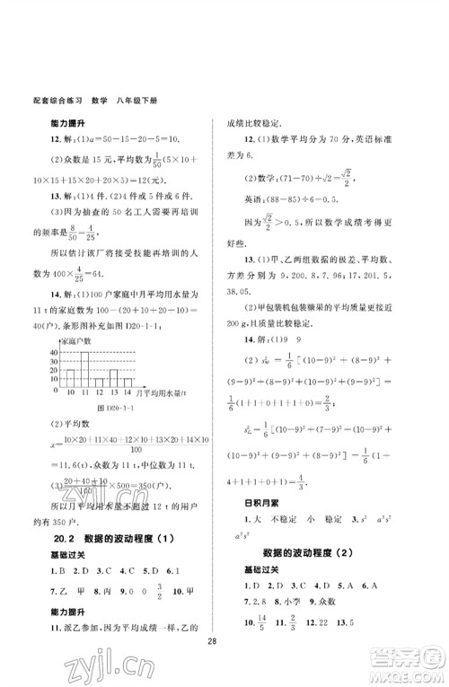 北京师范大学出版社2023数学配套综合练习八年级下册人教版参考答案