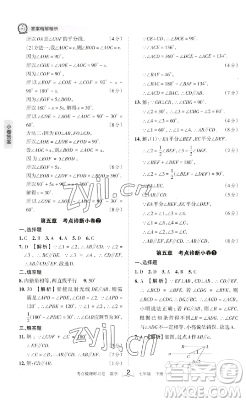 江西人民出版社2023王朝霞考点梳理时习卷七年级下册数学人教版答案