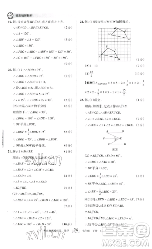 江西人民出版社2023王朝霞考点梳理时习卷七年级下册数学人教版答案