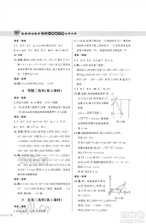 北京师范大学出版社2023数学配套综合练习八年级下册北师大版参考答案