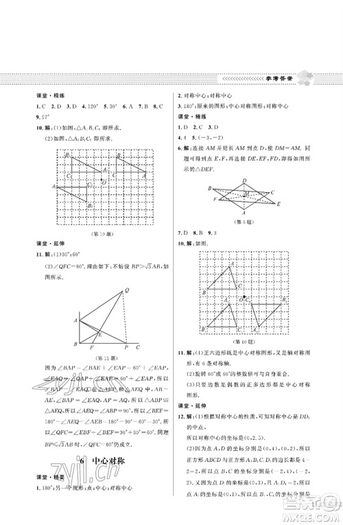 北京师范大学出版社2023数学配套综合练习八年级下册北师大版参考答案