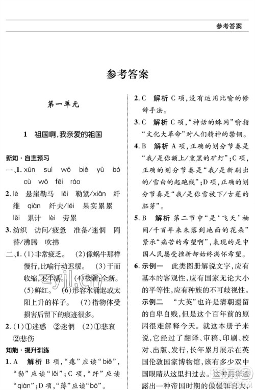 北京师范大学出版社2023语文配套综合练习九年级下册人教版参考答案 北京师范大学出版社2023语文配套综合练习九年级下册人教版参考答案