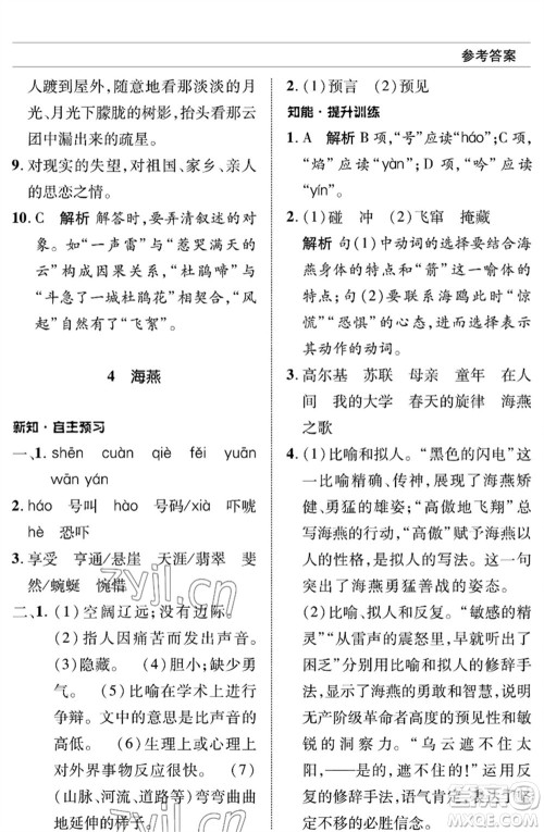 北京师范大学出版社2023语文配套综合练习九年级下册人教版参考答案