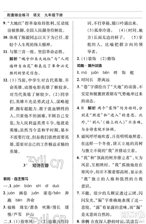北京师范大学出版社2023语文配套综合练习九年级下册人教版参考答案