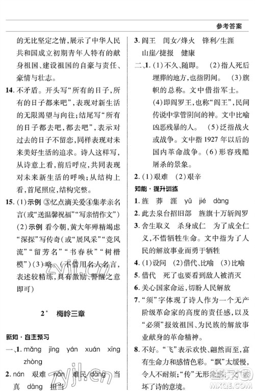 北京师范大学出版社2023语文配套综合练习九年级下册人教版参考答案