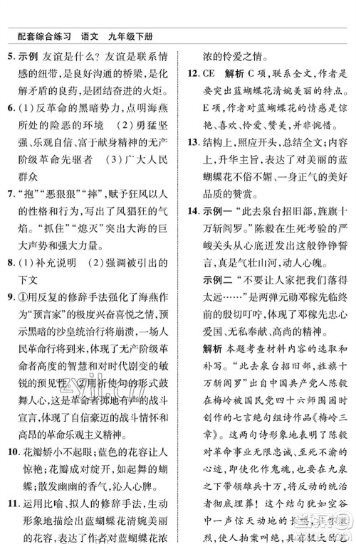 北京师范大学出版社2023语文配套综合练习九年级下册人教版参考答案