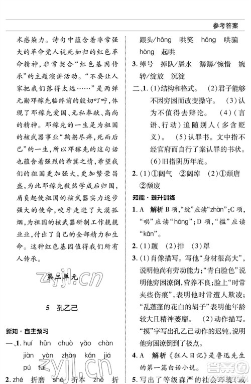 北京师范大学出版社2023语文配套综合练习九年级下册人教版参考答案