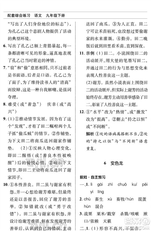 北京师范大学出版社2023语文配套综合练习九年级下册人教版参考答案 北京师范大学出版社2023语文配套综合练习九年级下册人教版参考答案