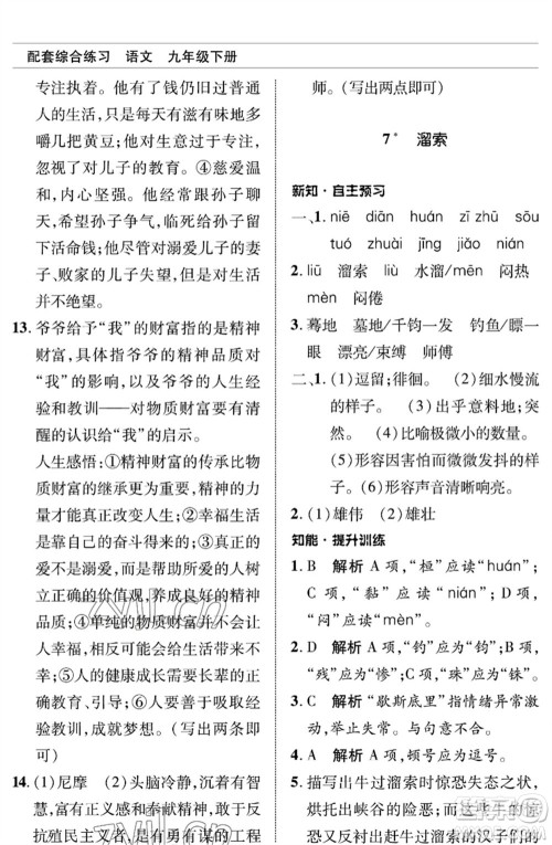 北京师范大学出版社2023语文配套综合练习九年级下册人教版参考答案