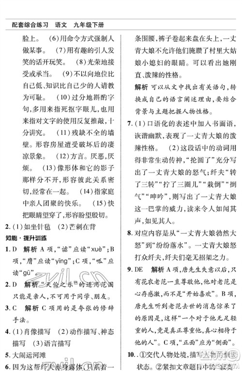 北京师范大学出版社2023语文配套综合练习九年级下册人教版参考答案