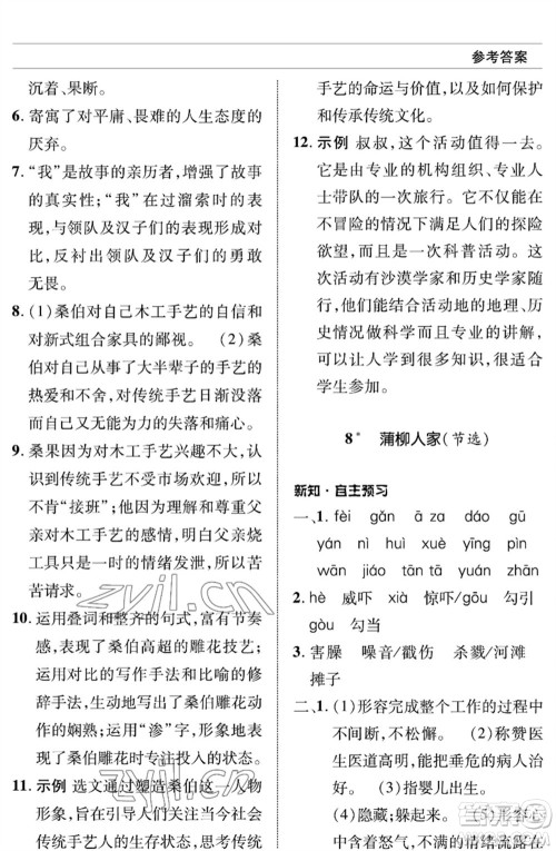 北京师范大学出版社2023语文配套综合练习九年级下册人教版参考答案