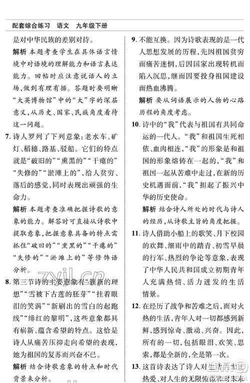 北京师范大学出版社2023语文配套综合练习九年级下册人教版参考答案