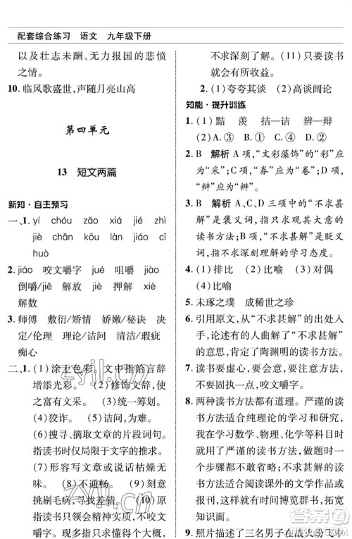 北京师范大学出版社2023语文配套综合练习九年级下册人教版参考答案 北京师范大学出版社2023语文配套综合练习九年级下册人教版参考答案