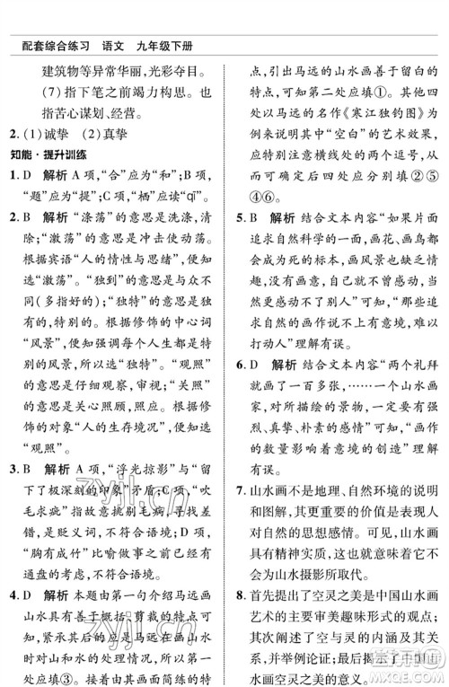 北京师范大学出版社2023语文配套综合练习九年级下册人教版参考答案