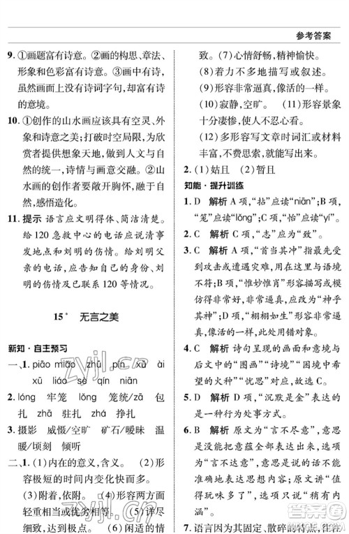 北京师范大学出版社2023语文配套综合练习九年级下册人教版参考答案