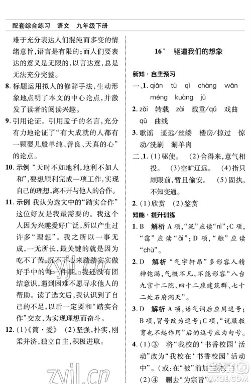 北京师范大学出版社2023语文配套综合练习九年级下册人教版参考答案