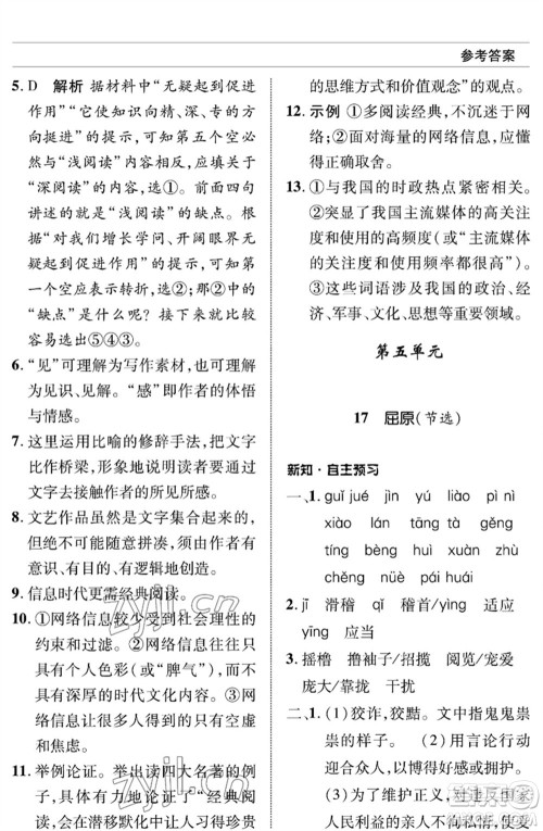 北京师范大学出版社2023语文配套综合练习九年级下册人教版参考答案