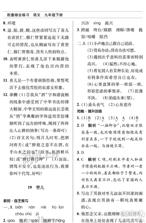 北京师范大学出版社2023语文配套综合练习九年级下册人教版参考答案 北京师范大学出版社2023语文配套综合练习九年级下册人教版参考答案