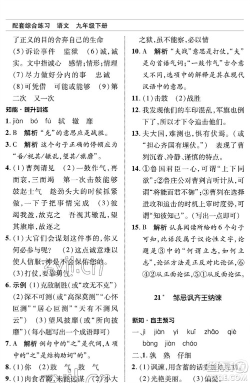 北京师范大学出版社2023语文配套综合练习九年级下册人教版参考答案