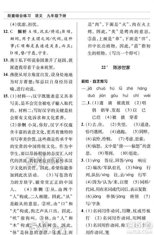 北京师范大学出版社2023语文配套综合练习九年级下册人教版参考答案