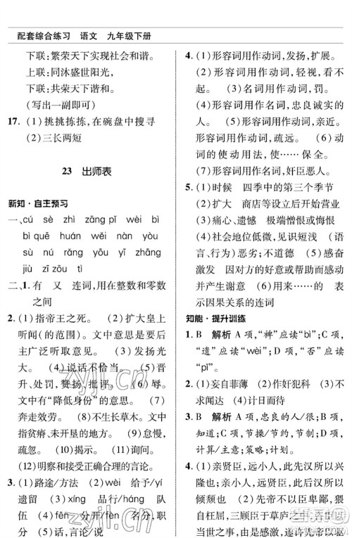 北京师范大学出版社2023语文配套综合练习九年级下册人教版参考答案