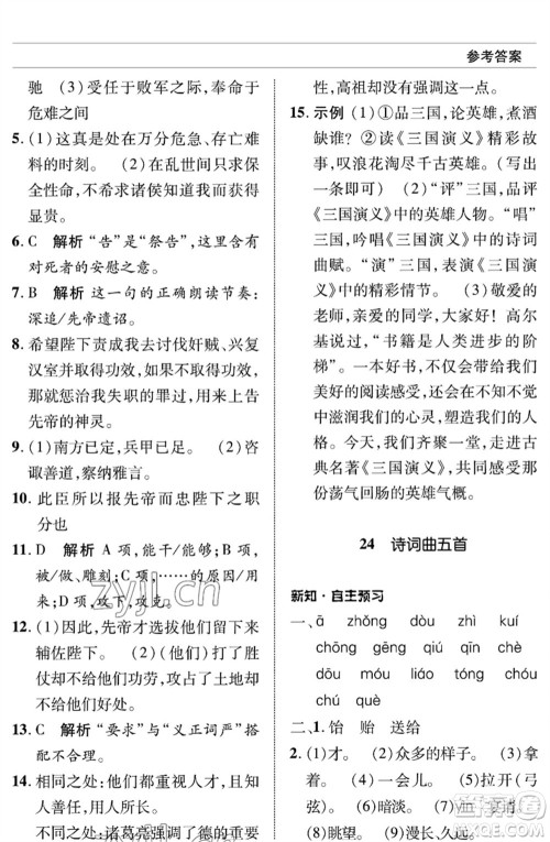 北京师范大学出版社2023语文配套综合练习九年级下册人教版参考答案